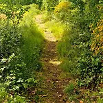 Cosy Dans Les Ardennes Somme-Leuze