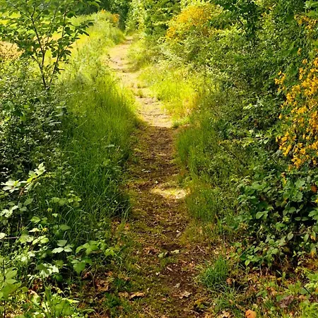 Cosy Dans Les Ardennes Somme-Leuze